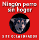 Clic aqu per a accedir al cercador de gossos y gats perduts 